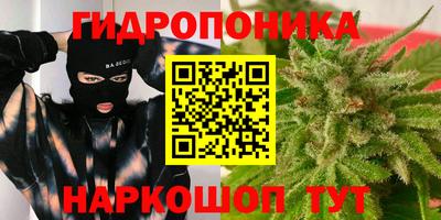 прущие крисы Гагарин
